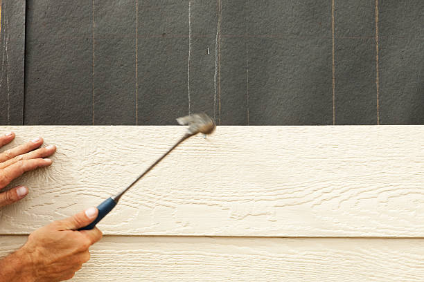 Best Vinyl Siding Installation  in Pleasant Hill, IA